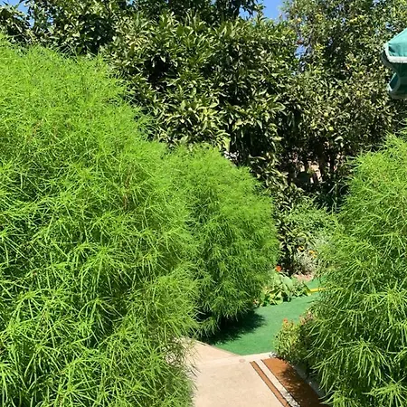 Da Irene A Due Passi Dal Mare Ferienhaus Càbras